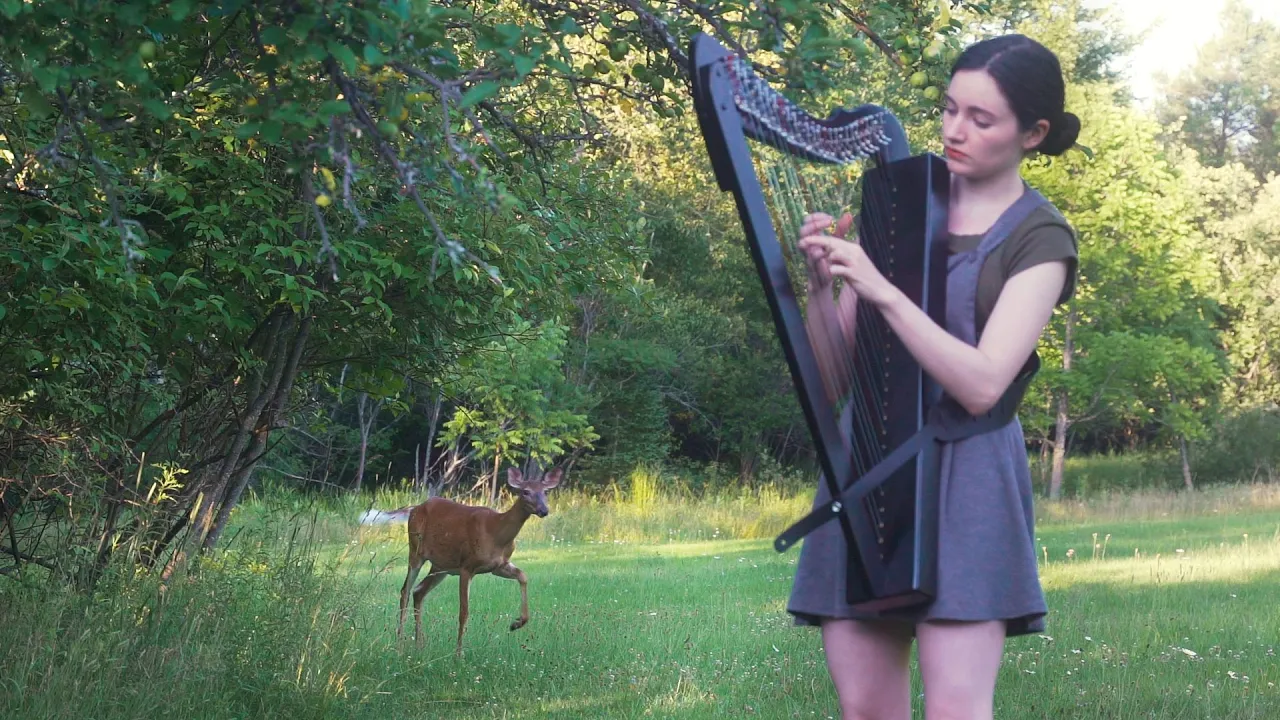 A deer turned my harp session into a Disney movie A deer turned my harp session into a Disney movie