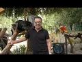 Emrah Farzet ki Ben Bir Yalanım 2013 erc@n mix