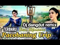 Pacobaning urip intan mandasari DJ remix