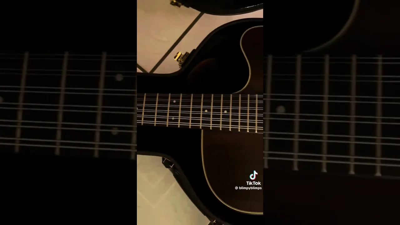 Takamine P3
