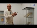Download Lagu jurnal MUSCEL TV 17 06 2025 DOUĂ VEACURI DE CARTE ROMÂNEASCĂ
