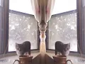 Kittens Birdwatching