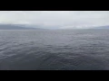 Submarine surfacing