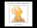 Your Hand In Mine Vitamin String Quartet tribute to Explosions In The Sky