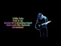 Willie Tate | Tear It Up | Audio Version