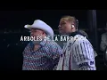 Fuerza Regida - Arboles De La Barranca ft. El Coyote y Su Banda Tierra Santa [En Vivo]