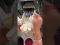Download Lagu AMAZING Machine Packs Thousands of Gloves in Seconds