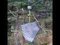 Doohickey Orchestra