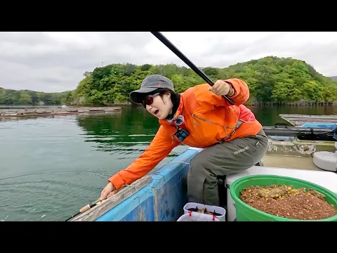 Download MP3 Traditional Japanese Fishing: Catching Huge Fish at an Oyster Farm!