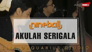 nineball akulah serigala live aquarius studio