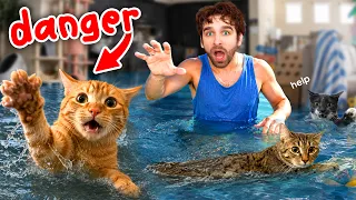 My Kittens Tried SWIMMING For The First Time... (disaster)