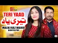 Teri Yaad Malik Riaz Wahid Song Shaheen Studio 2025