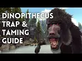 Dinopithecus Trap and Taming Guide