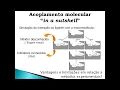 Channel