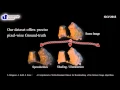 ICCV15 Inverse Rendering