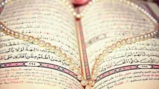 انشودة قرآن نبض حياتي بدون موسيقى 