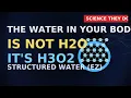 The Hidden Power of Water How Structured H3O2 Fuels Your Body