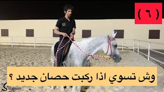  تعلم ركوب الخيل   ٦   وش تسوي اذا ركبت حصان جديد  دندنها