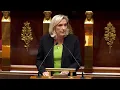 National defense strategy: Marine Le Pen's intervention