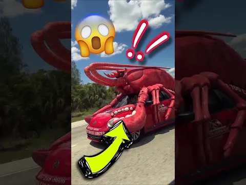 سيارتان🏎 أغلا من سيارة بكاتي🤑 وسيارة الاخيرة حتى......