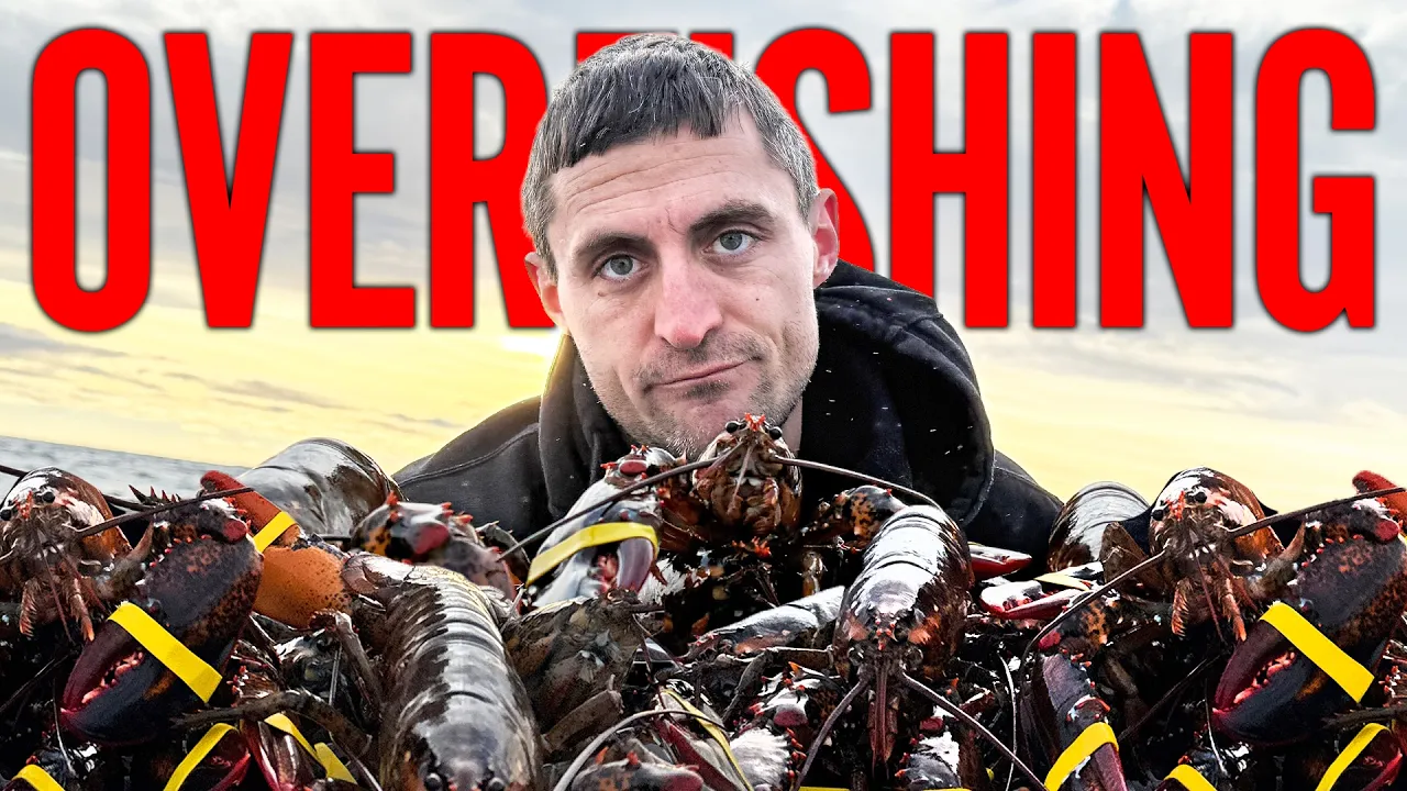 The media is LYING to you about Maine's $1 billion lobster industry