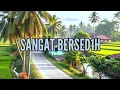 Download Lagu 🎆 SANGAT BERSED1H 🎆