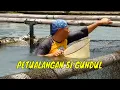 Download Lagu [FULL] PETUALANGAN SI GUNDUL | JEJAK SI GUNDUL (09/12/21)