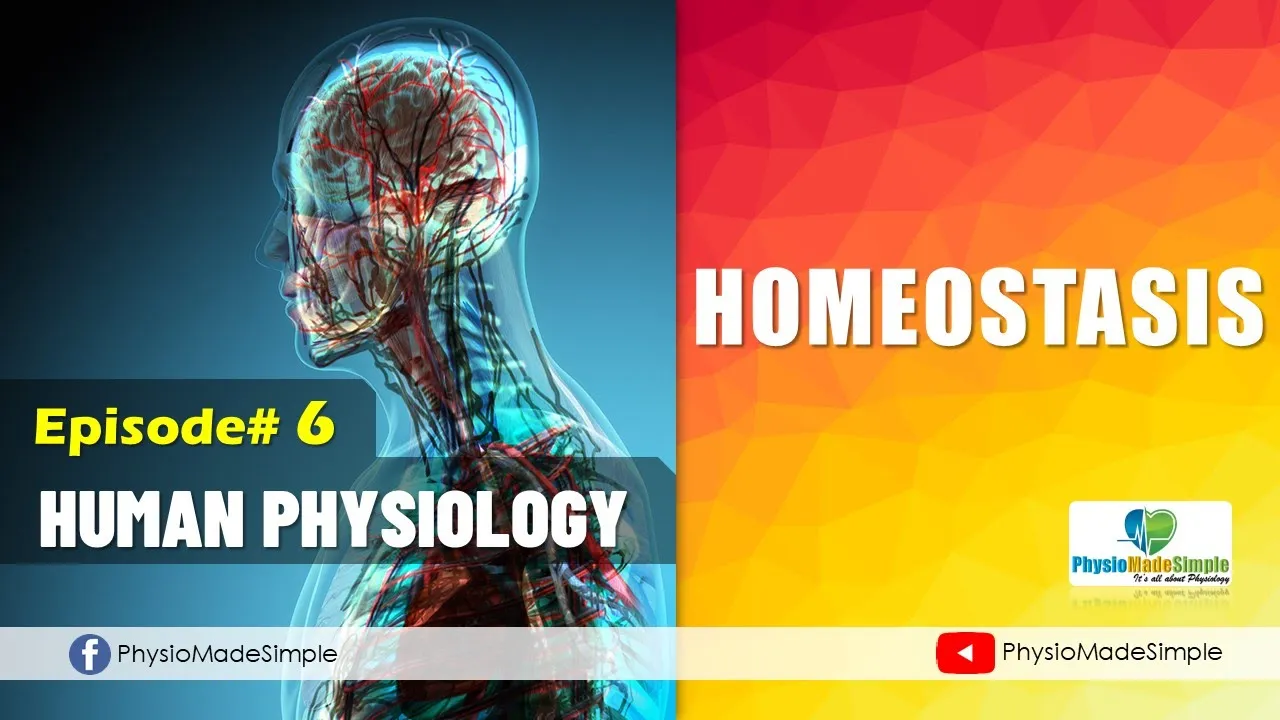 Ep#6 | HUMAN PHYSIOLOGY | HOMEOSTASIS