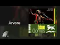 Edson Gomes - Árvore - Ao Vivo Em Salvador