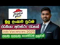 Pizza Hut Job Vacancies in Sri Lanka 2025 I Best Job Opportunities Sinhala