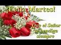 Feliz Martes buenos dias frases de buenos dias con imagenes bonitas para ti abrelo es para ti