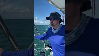 Sailing by  a possible Square Grouper #sailingbyefelicia