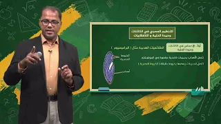 التنظيم العصبي في الكائنات وحيدة الخلية واللافقاريات مادة الاحياء 