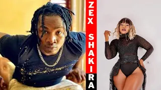 zex bilangilangi ft shakira shakira 