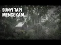 Download Lagu SUMPAH ANEH BANGET.. MENEMUKAN RUMAH MISTERIUS Di TENGAH HUTAN