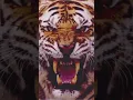 Sepultura Dead Embryonic Cells Best Part 2.0 (Smoother Transitions)