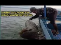 Download Lagu Waoww 😱 Di Luar Nalar,Ikan Monster Sebesar ini di Taklukan seorang Diri..