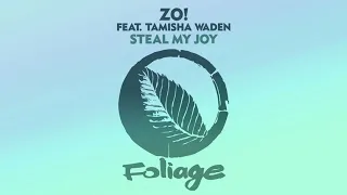 zo feat tamisha waden steal my joy opolopo remix 