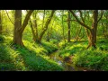 Download Lagu Soft Healing Music for Health and Soothing the Nervous System, Deep Relaxation