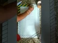 chart paper decoration ideas