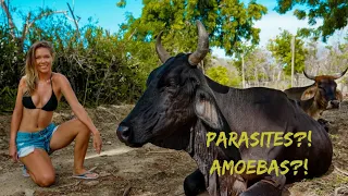 Boat Life Ep.12 One reality of sailing to a developing country