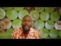 Dash - Not Staying Home