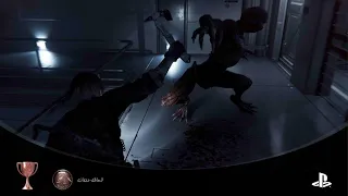                       تروفي لسانك حصانك                        دندنها
