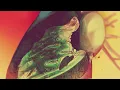 Corazón - Sofia Kourtesis