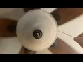 60 Hunter Regalia Ceiling Fan
