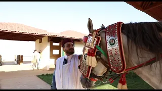 ياسيد الخيل وفارسه دندنها