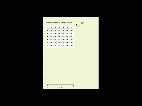 Machine learning in bioinformatics (part 2)