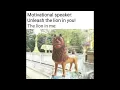 Funny Motivational Memes Funny Inspirational Memes