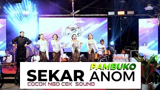 pambuko sekar anom ll saleho awaed 2025 ll dinasty record