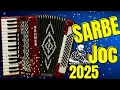 Lagu Muzica de Petrecere🪗Colaj Hore si Sarbe Acordeon🪗Instrumental 2025